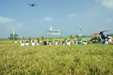 Gunakan Pupuk Hayati...