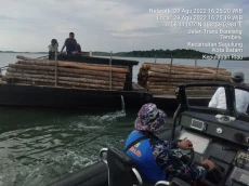 Angkut 200 Batang Kayu...