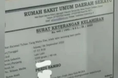 Viral! Bayi di Muba...