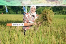 Bupati Purwakarta Anne...