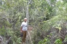 Kerangka Manusia di...
