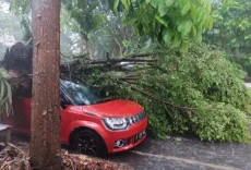 Hujan Badai Akibatkan...