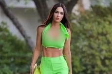 Megan Fox Tanggapi Sinis...