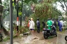 Hujan Angin, Pohon Tumbang...
