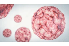 Bedanya Kanker, Tumor,...