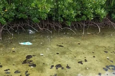 Perairan Kepulauan Seribu...