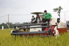 Panen di Blitar, Mentan...