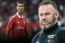 Disebut Tikus, Wayne...
