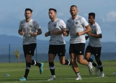 Ilija Spasojevic Ingin...