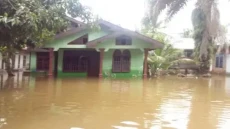 Riau Tetapkan Status...