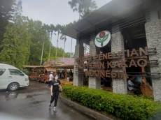 Jauh Lebih Murah, Mesin...