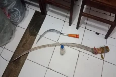 Bacok Pelajar di Bogor,...