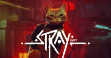 Fakta Stray Mampu Sabet...