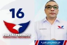 DPD Perindo Kabupaten...