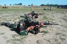Senjata Assault Rifle...