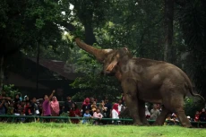 Hari Natal, 76.881 Pengunjung...