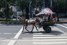 Bertemu Paguyuban Delman,...