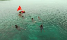 TNI AL Gelar Kejuaraan...