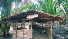 Mengintip Konsep Ungkea...