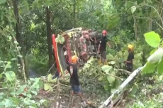 Kelebihan Muatan, Truk...