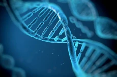 Bangun Database DNA...