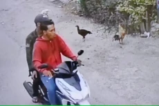 Ini Tampang Pencuri...