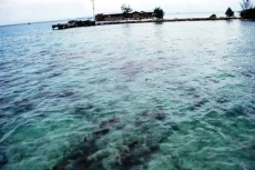Simak! Perbedaan Kepulauan...