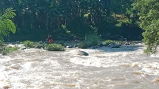 Mancing Ikan, Ayah dan...
