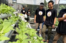 Solusi Lahan Sempit,...