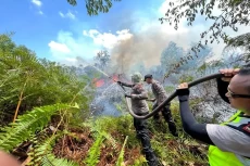 Kebakaran Hutan Melanda...