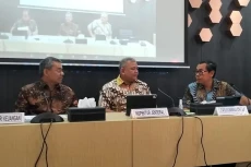 Wakil Sri Mulyani Ungkap...