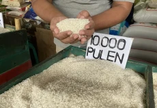 Kabar Gembira, Bulog...