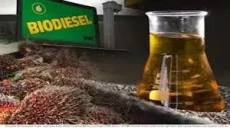 Indonesia Jadi Faktor...