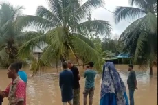 Banjir Setinggi Pohon...