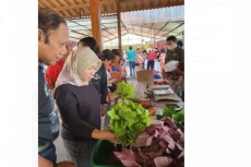 Dongkrak Ekonomi Warga...