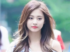 Profil Tzuyu, Idol K-Pop...
