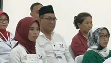Pemilu 2024, Partai...