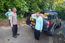 Polisi Selamatkan 7...