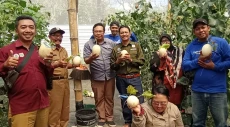 TKD Disulap Jadi Areal...