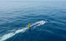 5 Fakta Bluewhale Israel,...