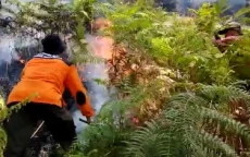 Kebakaran Gunung Arjuno...