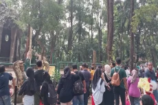 Liburan Panjang, 16...