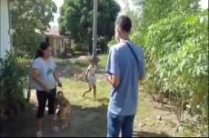 Sikka KLB Rabies, Bupati...