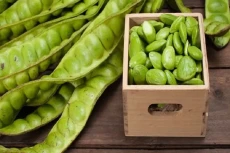 8 Manfaat Petai untuk...