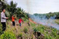 481 Hektare Lahan Terbakar...