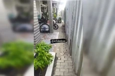 Heboh! Akses Jalan Warga...