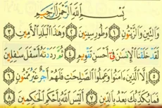 Surat At-Tin Lengkap...