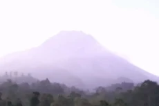 Siaga! Wedus Gembel...
