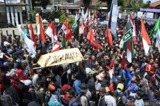 GMNI dan HMI, Organisasi...