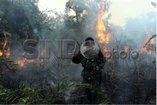 Jambi Waspada Karhutla,...